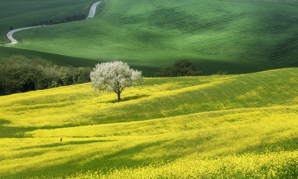 Photograph by suk eun kim