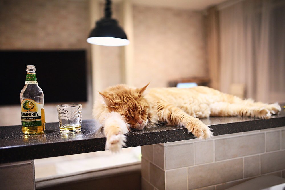 Photograph by Alexandr Zotov