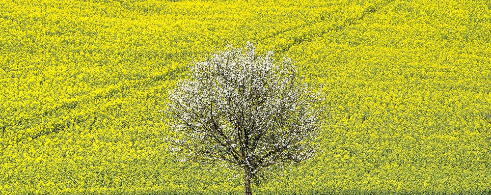 Photograph by suk eun kim