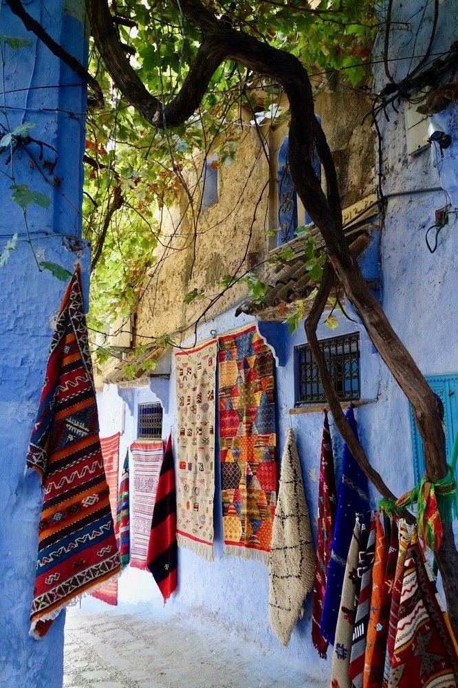 Под тенью лозы