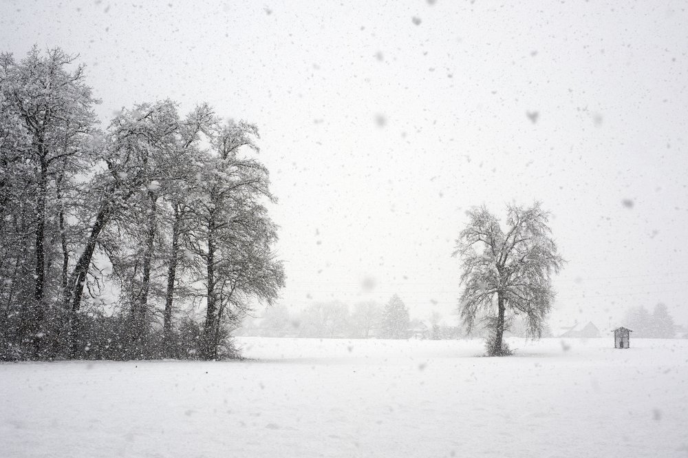 Photograph by MIO photography