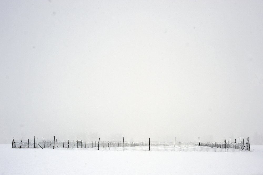 Photograph by MIO photography