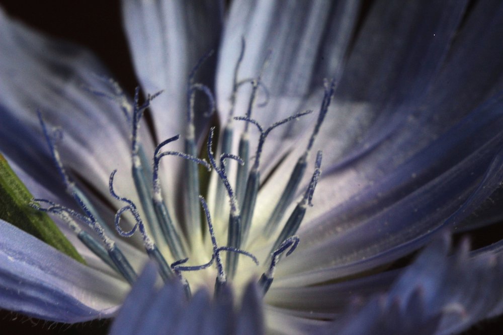 Photograph by Алексей Тимофеев