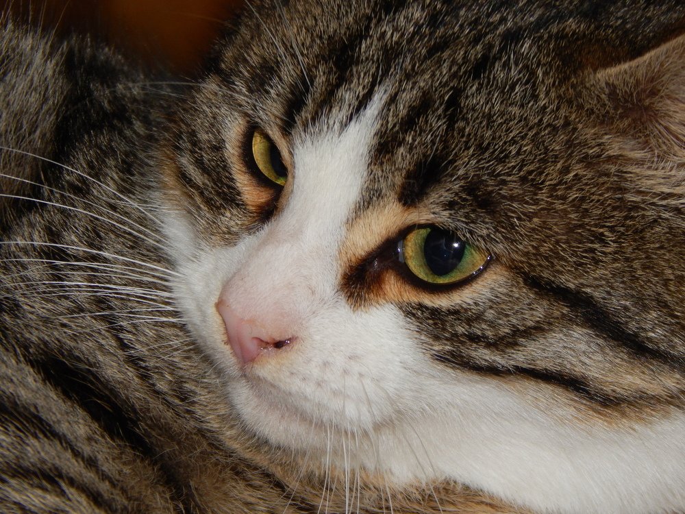 Photograph by Алена