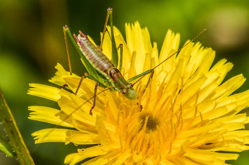 Photograph by Maria Berci