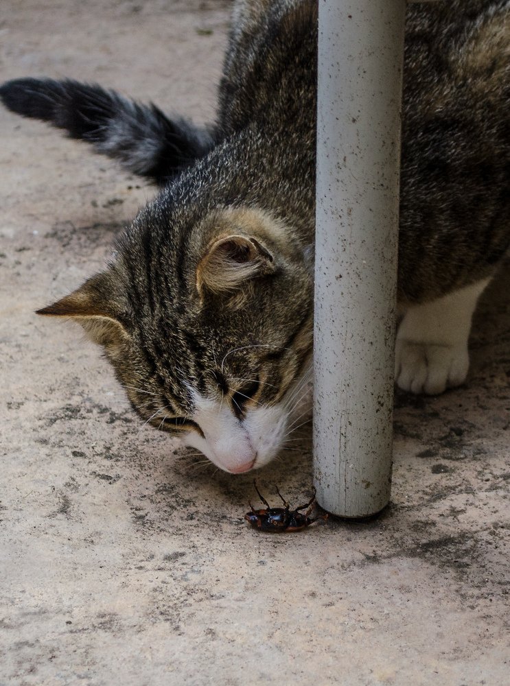 Photograph by Maria Berci