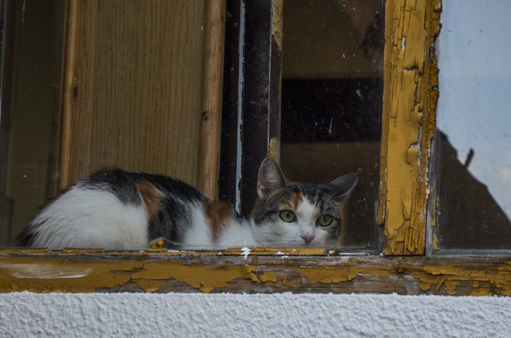 Photograph by Maria Berci