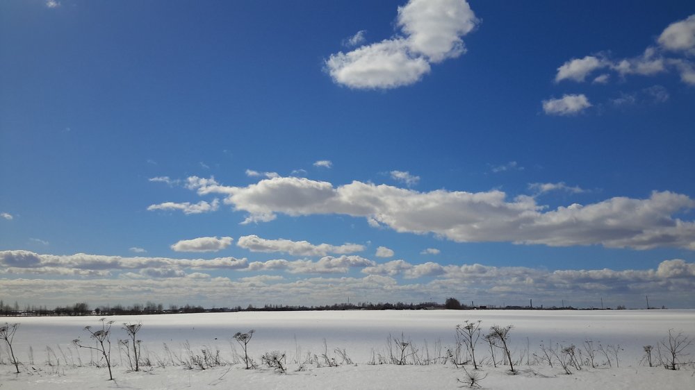 Photograph by Борис Каширин