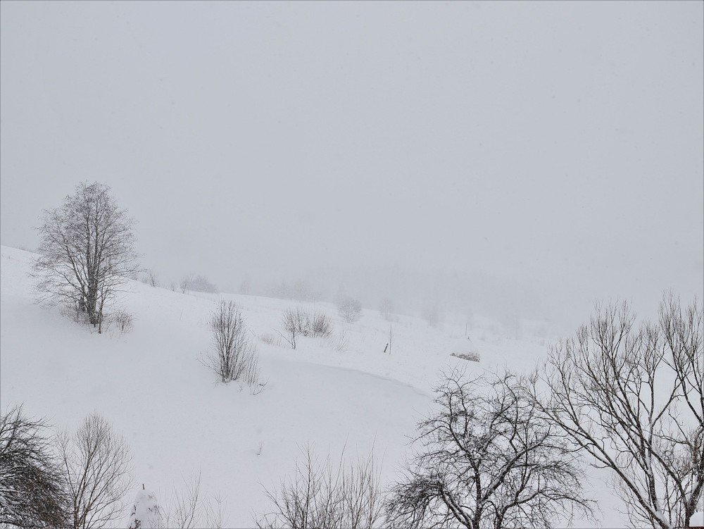 Photograph by Андрей Телибаев