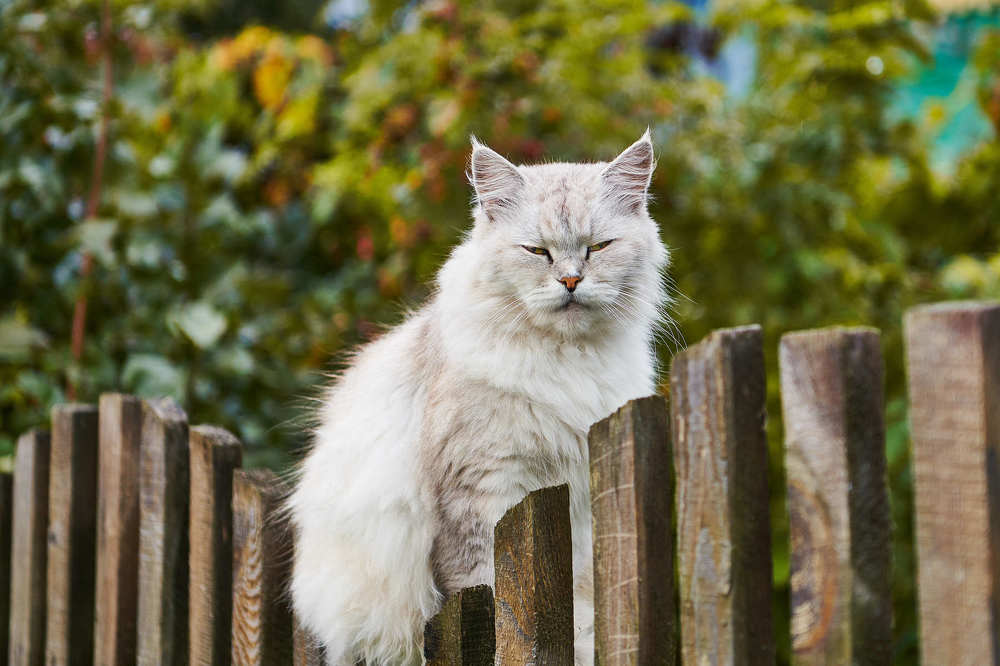 Фотография автора Ольга Антанайтене