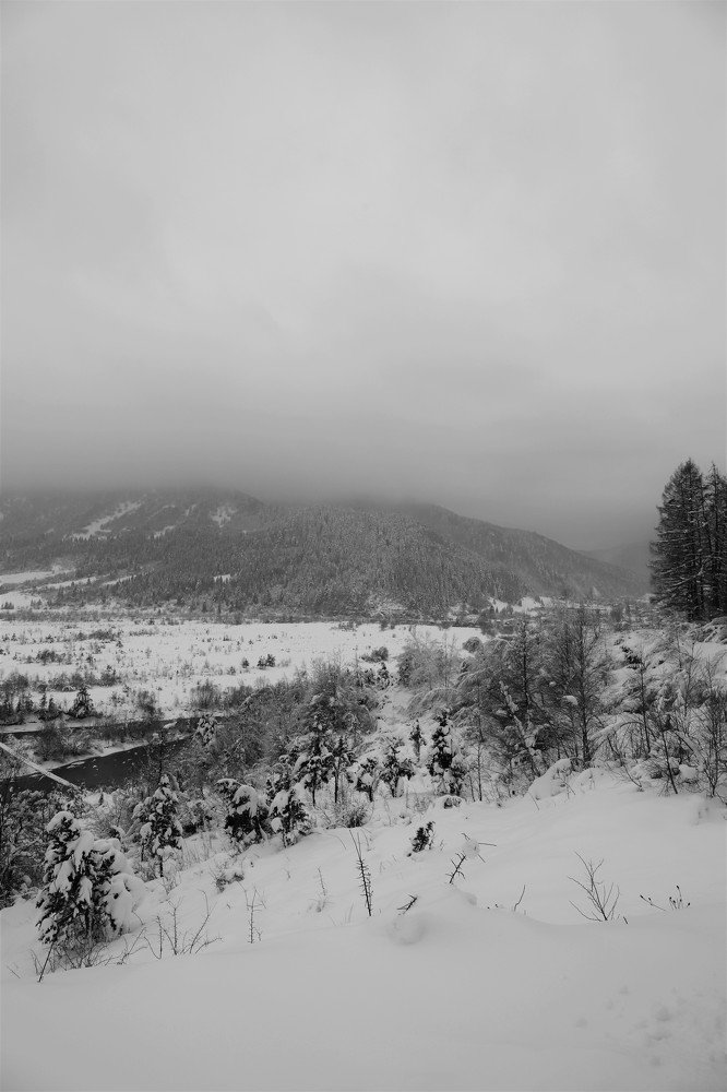 Photograph by Андрей Телибаев