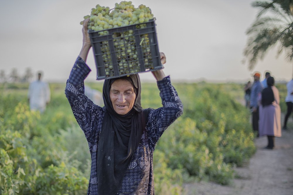 Photograph by mohammad Beit mashaàl