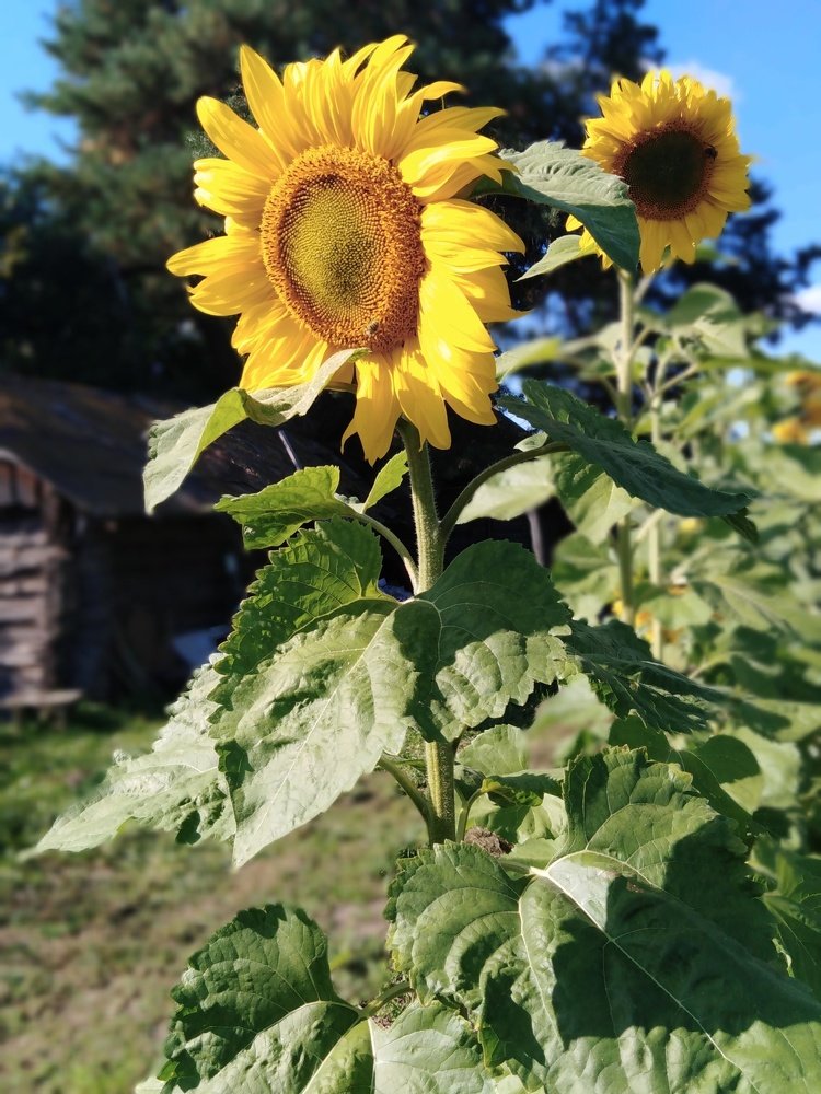 Photograph by Дмитрий Нестерович