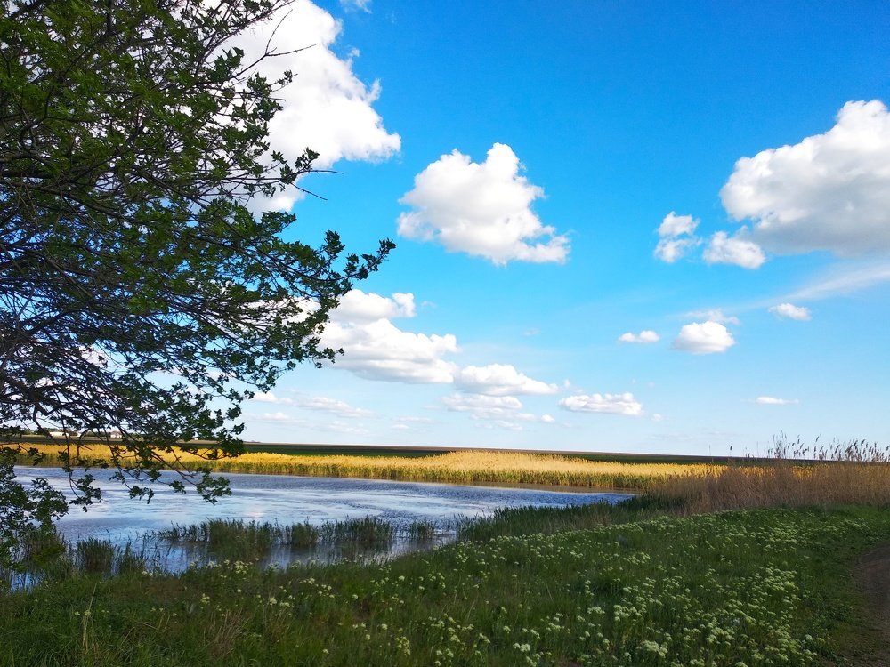 Photograph by Виолетта Мирошниченко