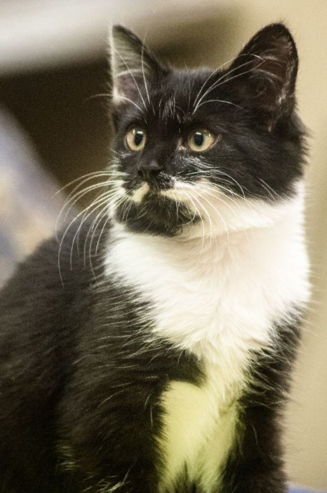 Фотография автора Ксения Петрова