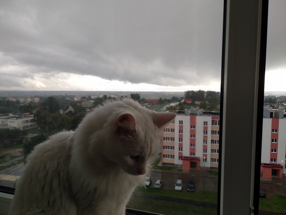 Photograph by Капаев
