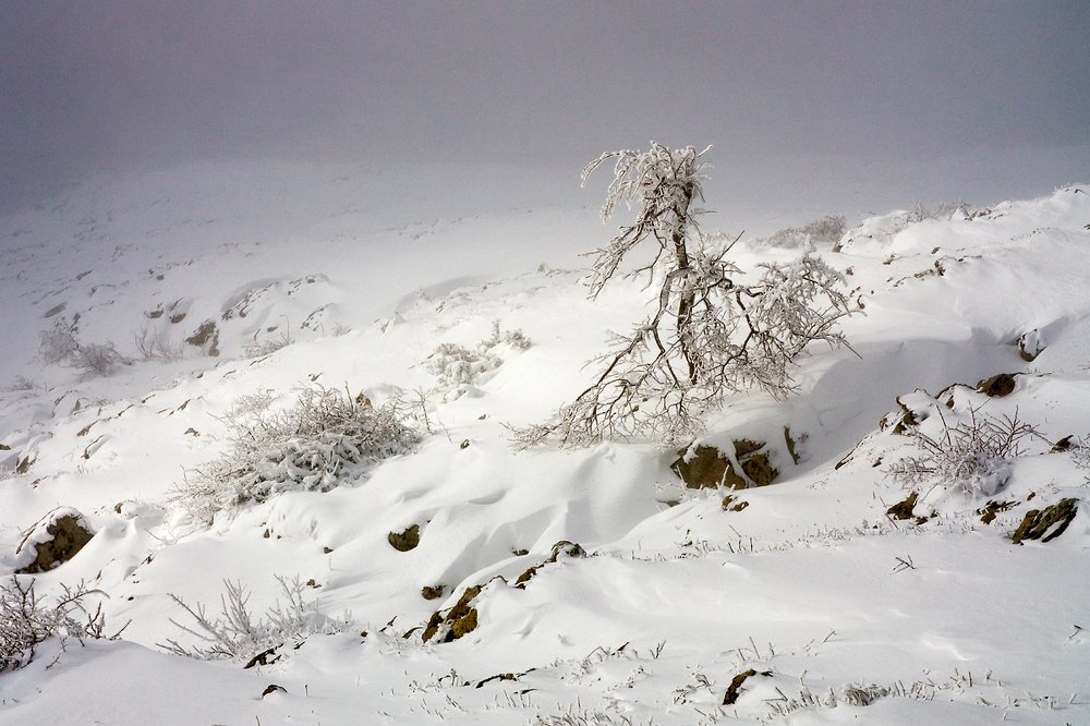 Photograph by Елена Покрепа