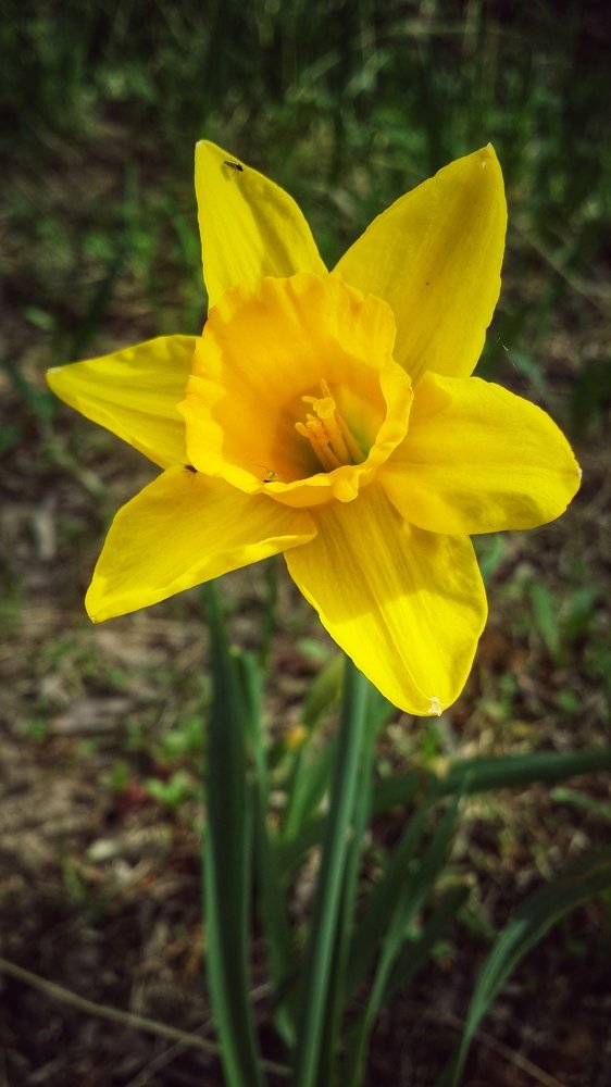 Photograph by Елена Дубова