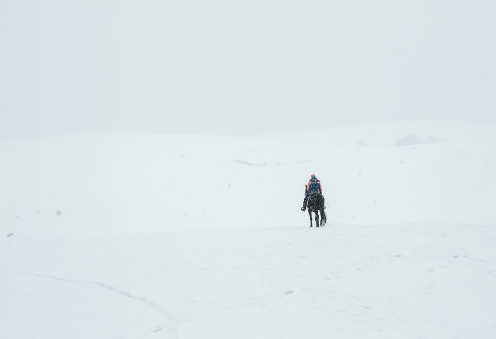 Photograph by Елена Покрепа