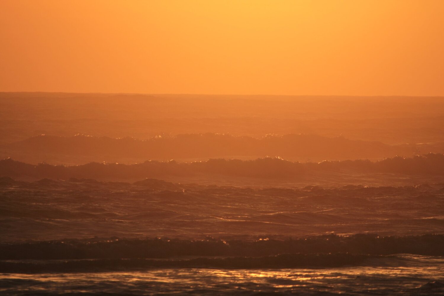 Photo #3531364