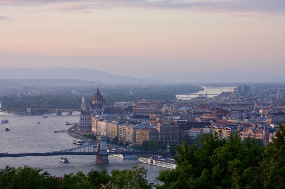 Розовая зоря