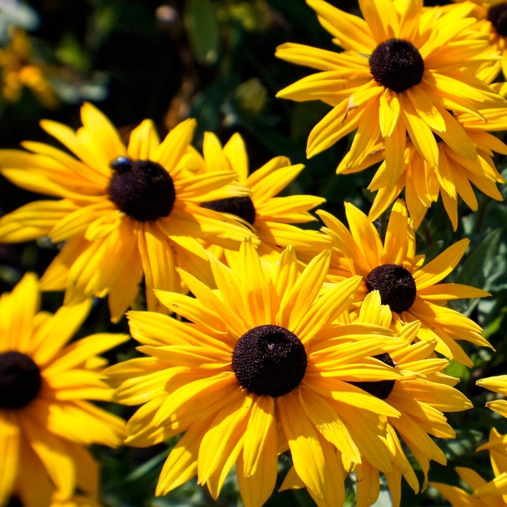 Photograph by Сергей Забиякин