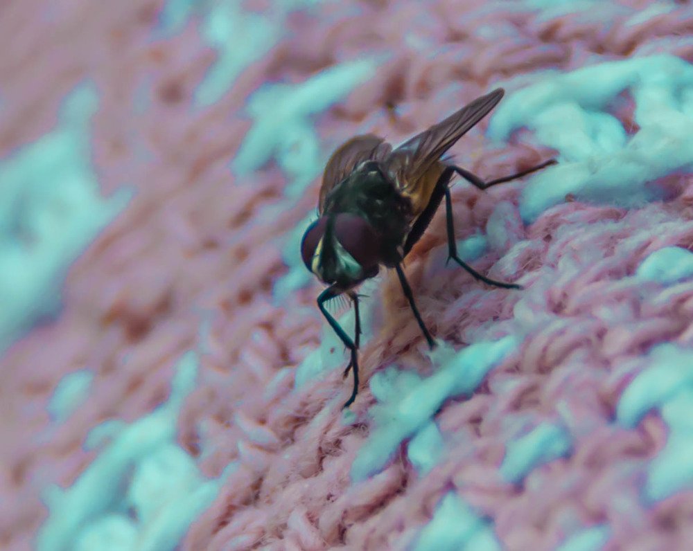 29/5000 loneliness is not always bad