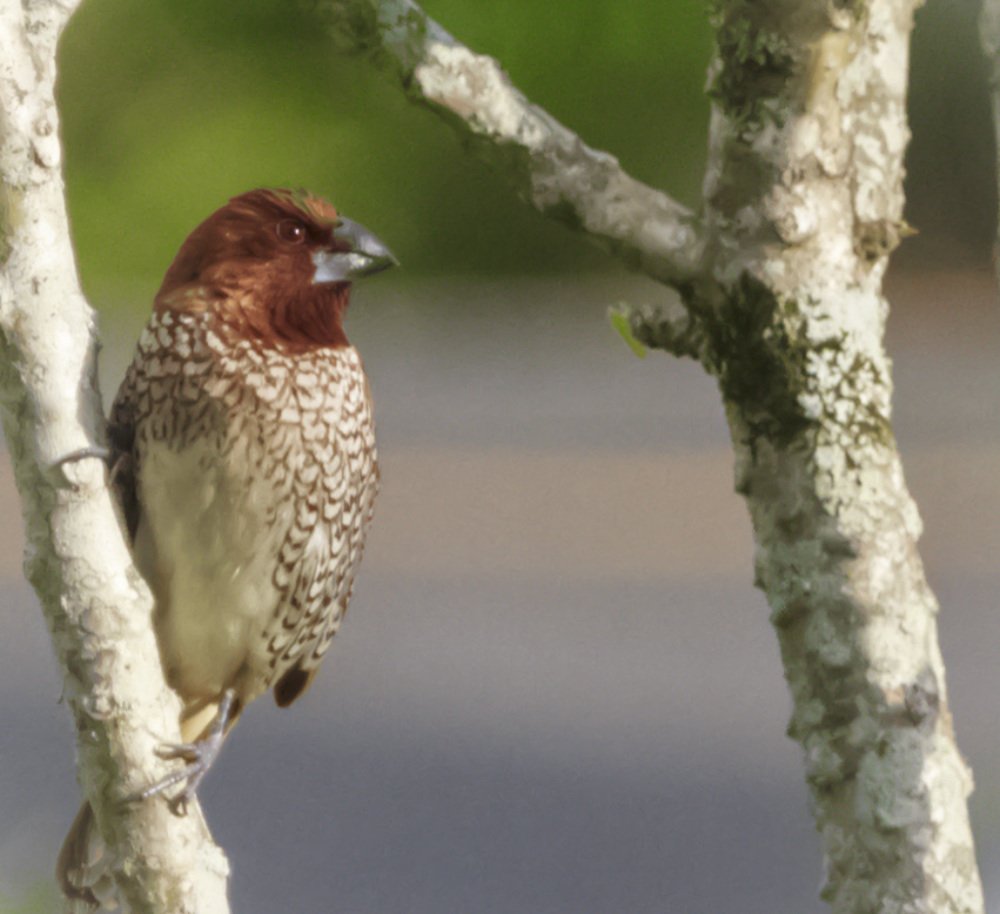 35/5000 Looking at life differently