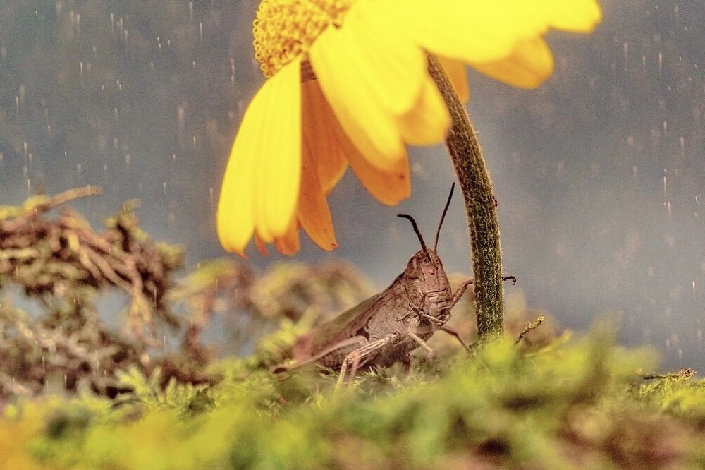 Photograph by Роман Турсков