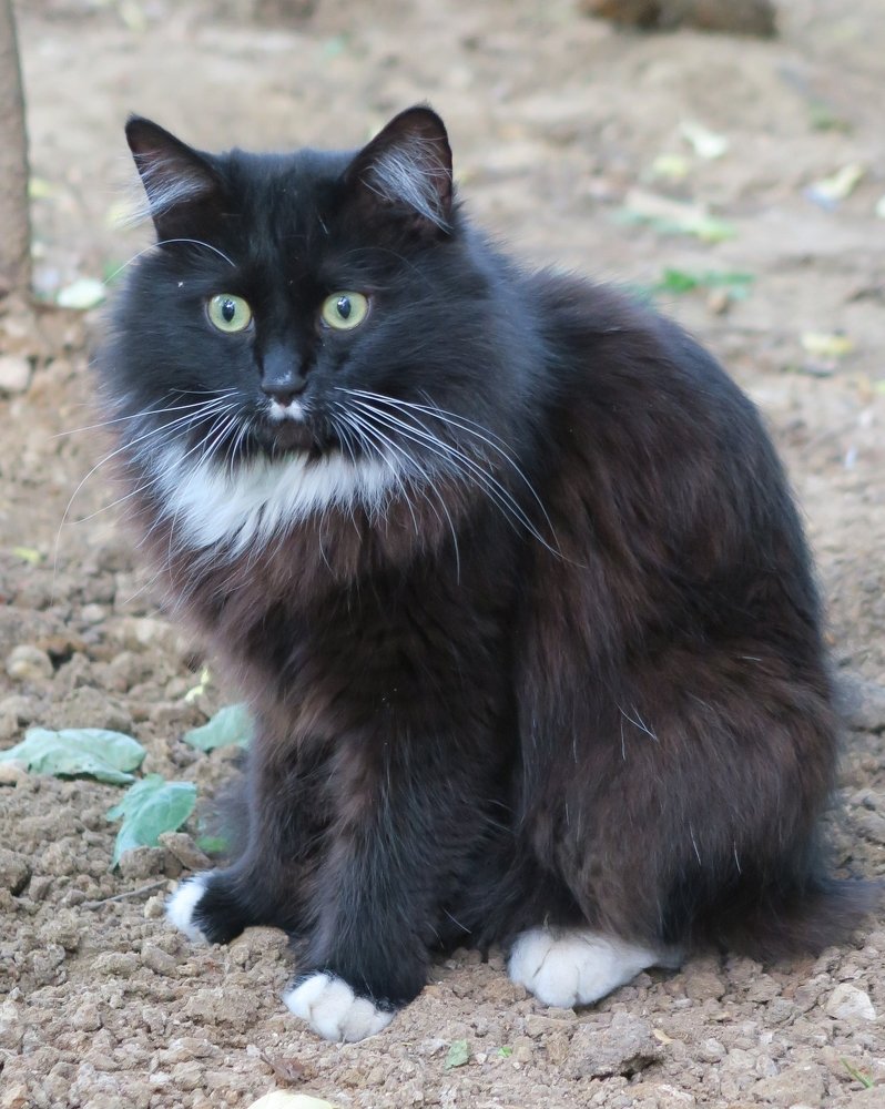 Photograph by Elena Nadeeva