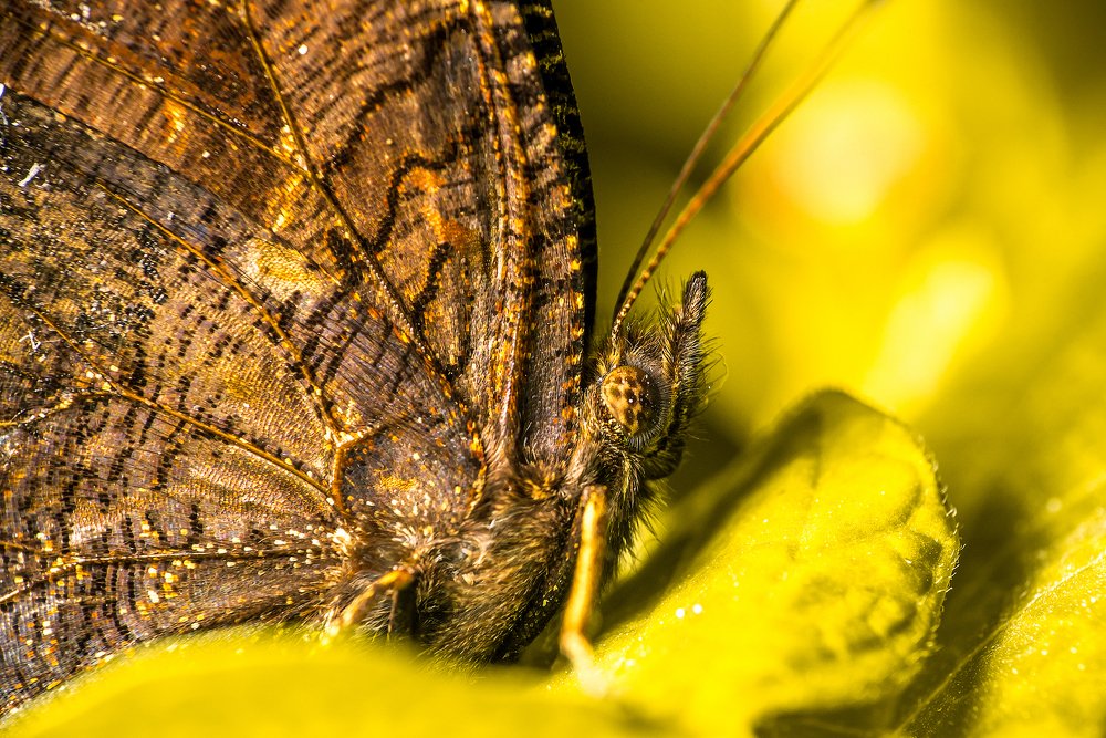 Поиграем в прятки?