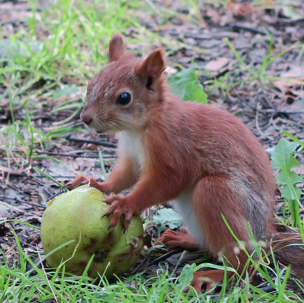 Photograph by Elena Nadeeva