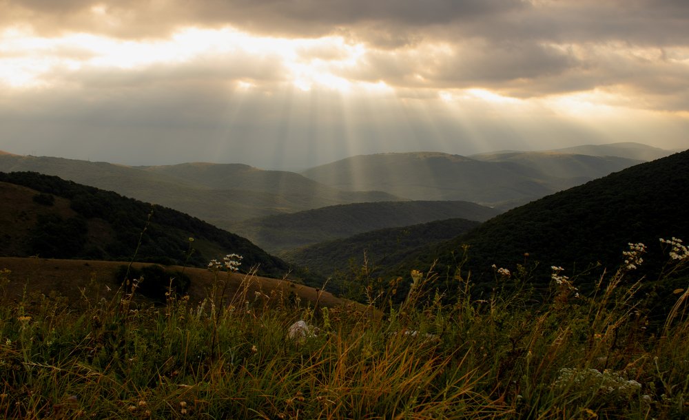 Photograph by Ярослав Осипов