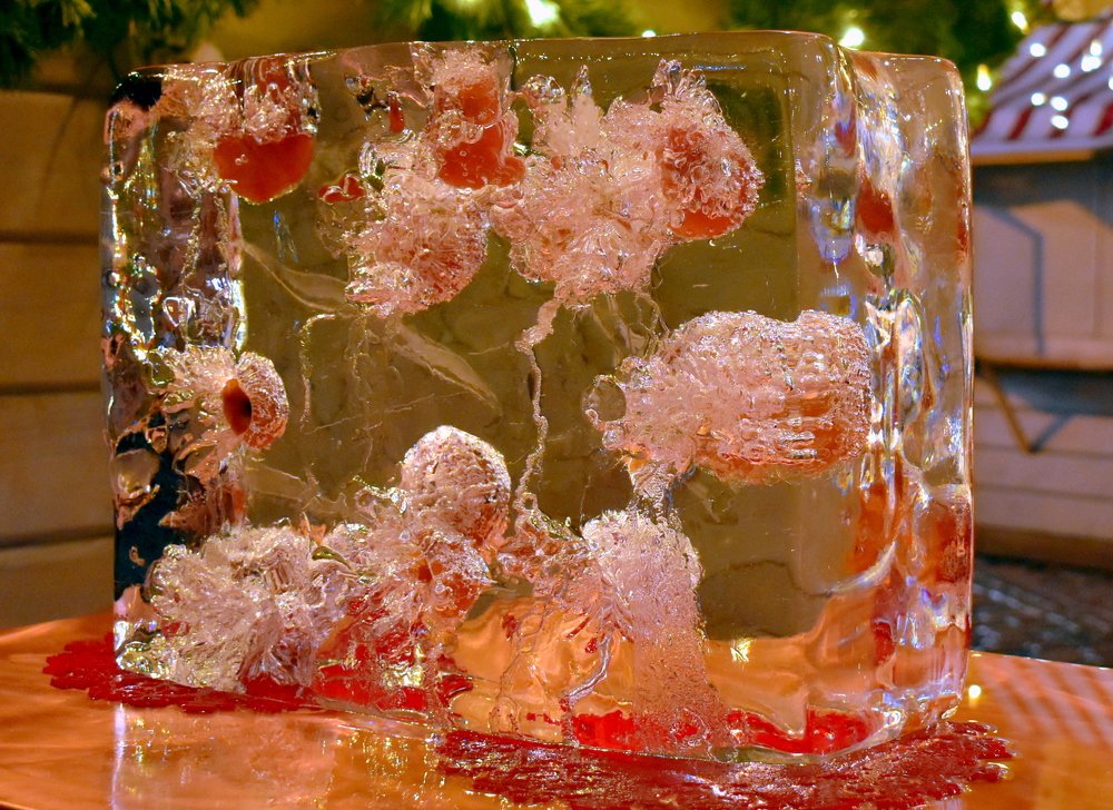 Apples in ice / Яблоки во льду