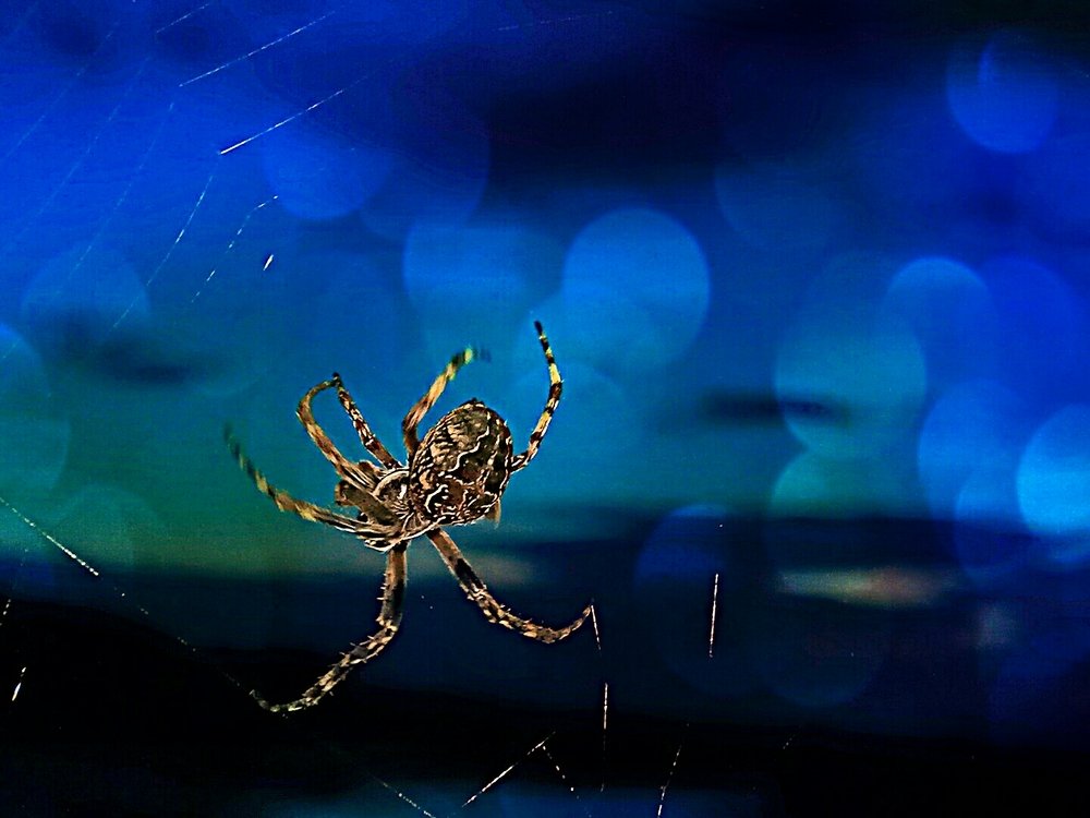 Photograph by Марина Гильмиярова