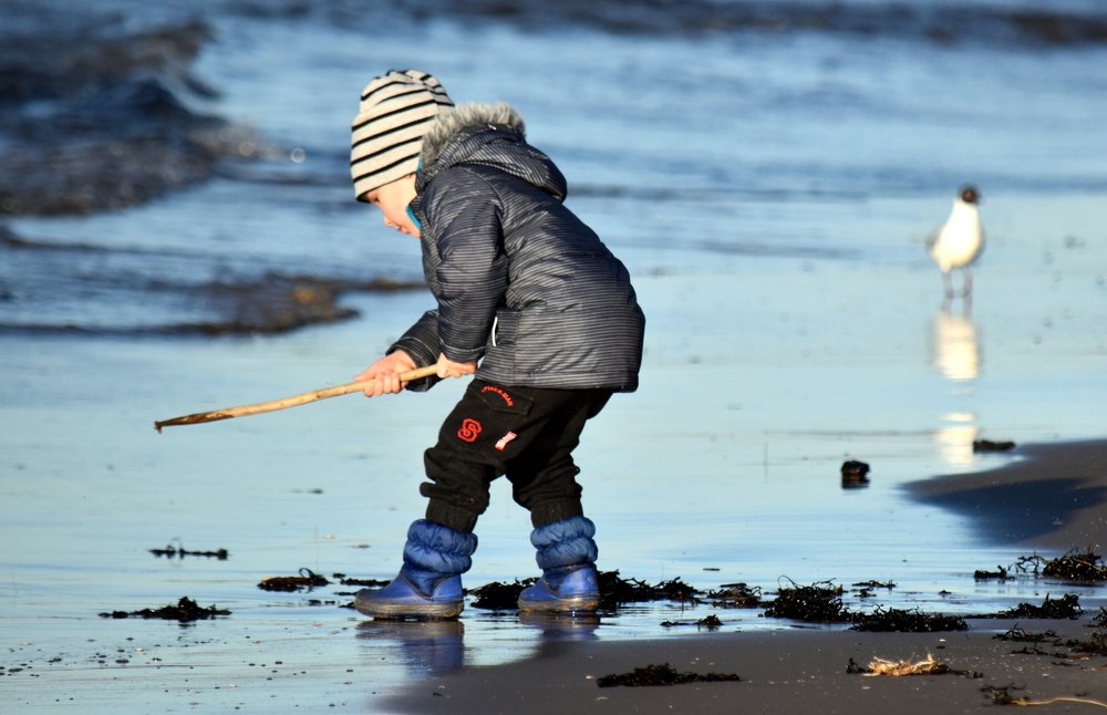 Exploration of the world / Исследование мира