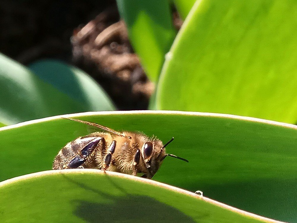 Photograph by Марина Гильмиярова