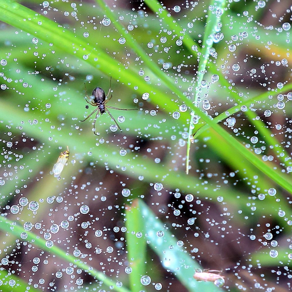 Photograph by Яна Орлова