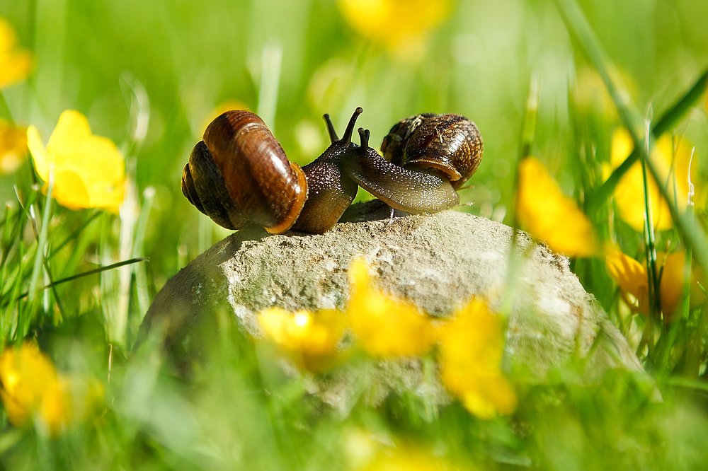 Photograph by Яна Орлова