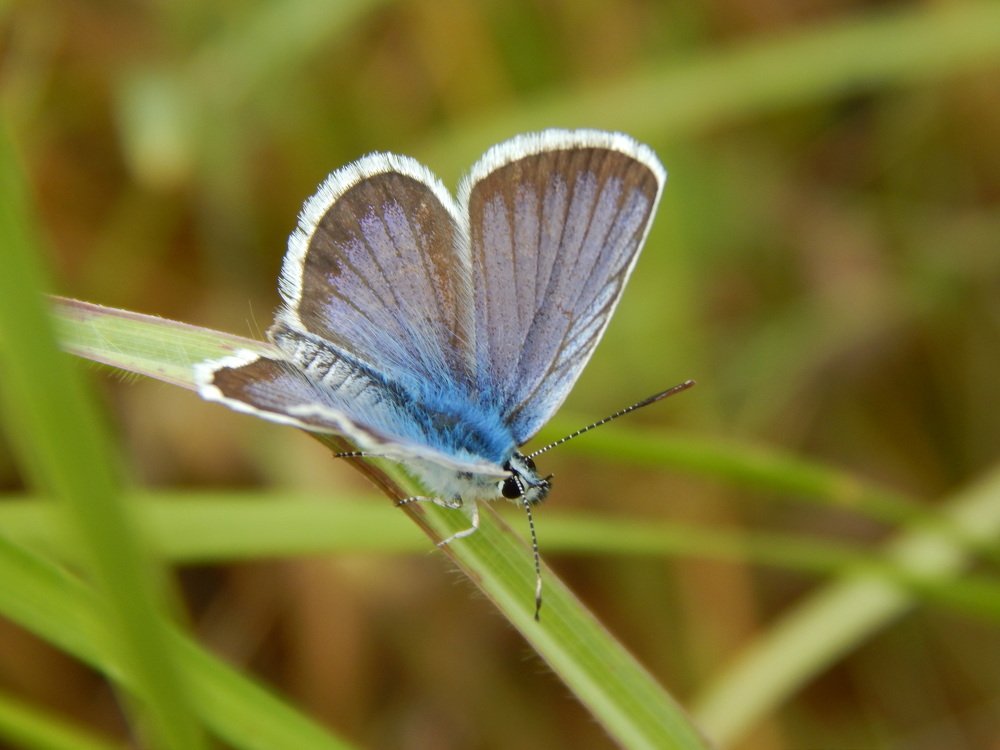 Photograph by Алена