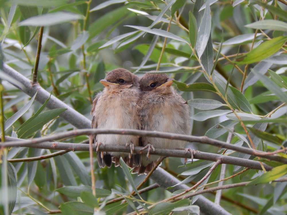 Photograph by Алена