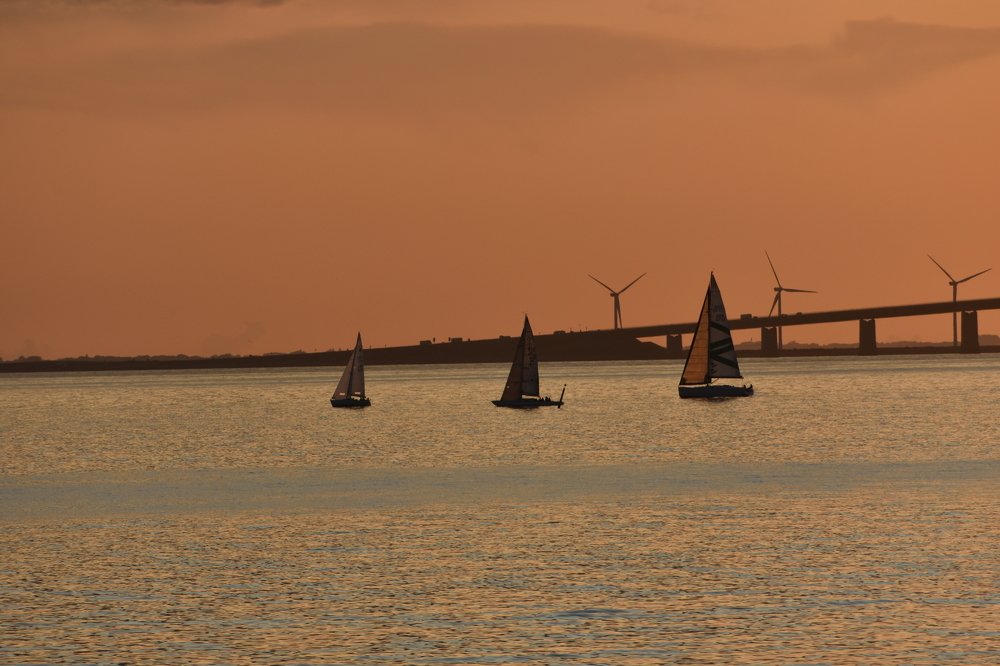 A Sailing race at the sunset