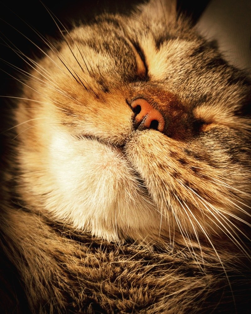 Фотография автора Lujza Stoklas