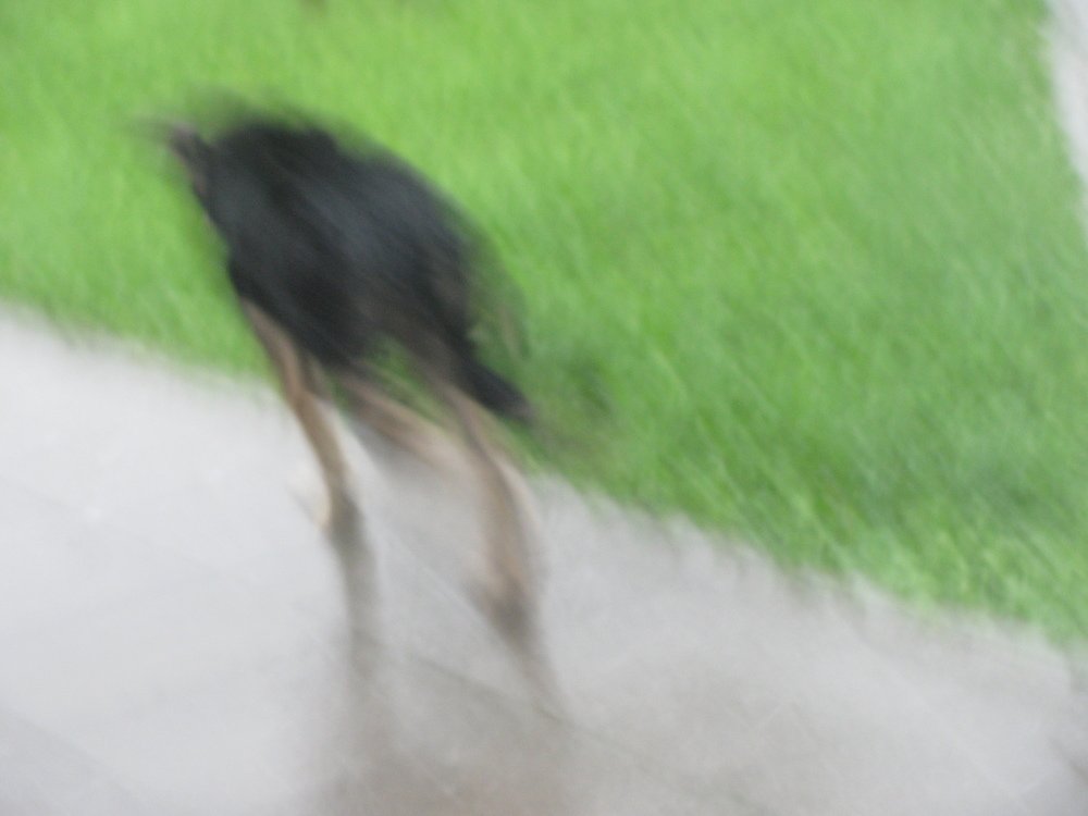 Photo #3532006