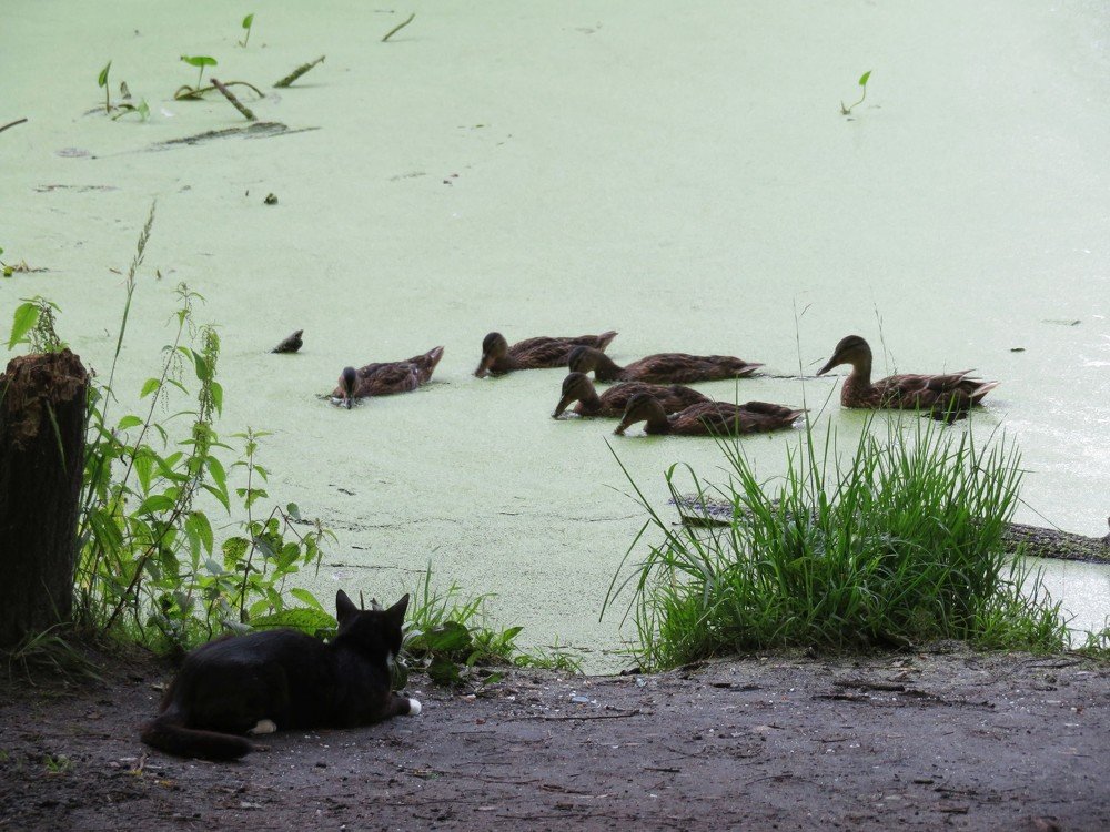 Photograph by Марина Осипова