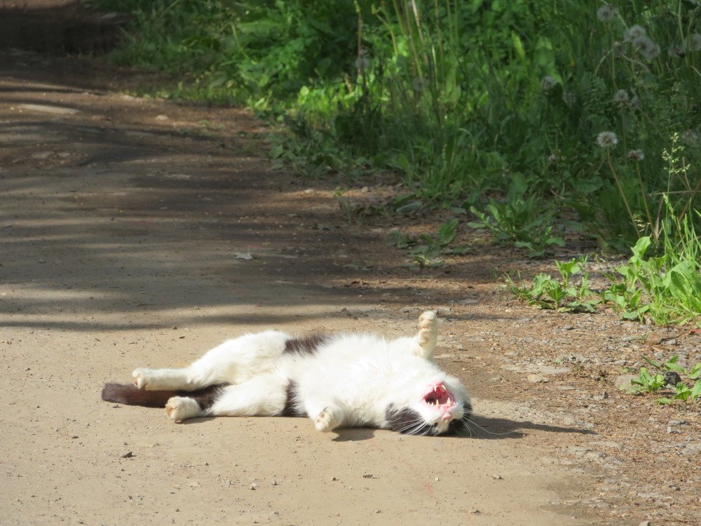 Photograph by Марина Осипова