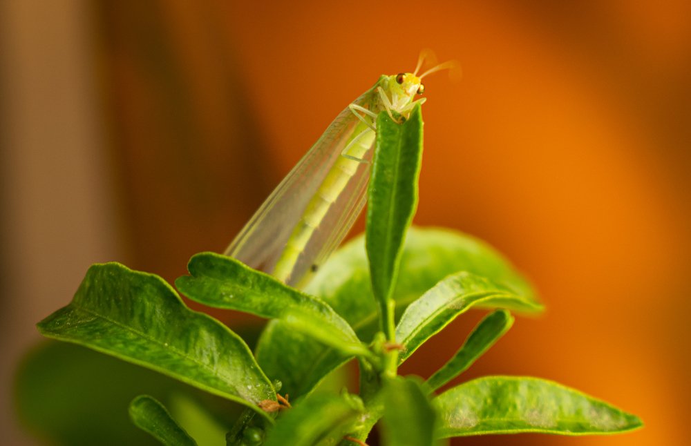 Фотография автора Оксана Белозерская