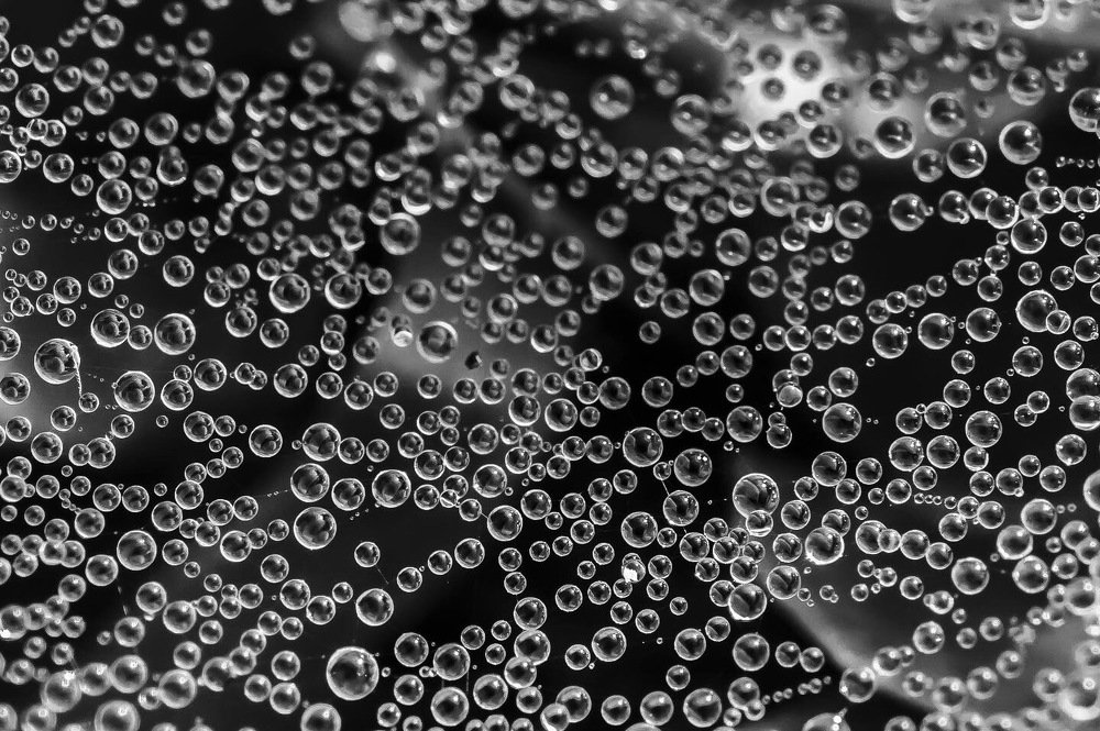 Фотография автора Lujza Stoklas