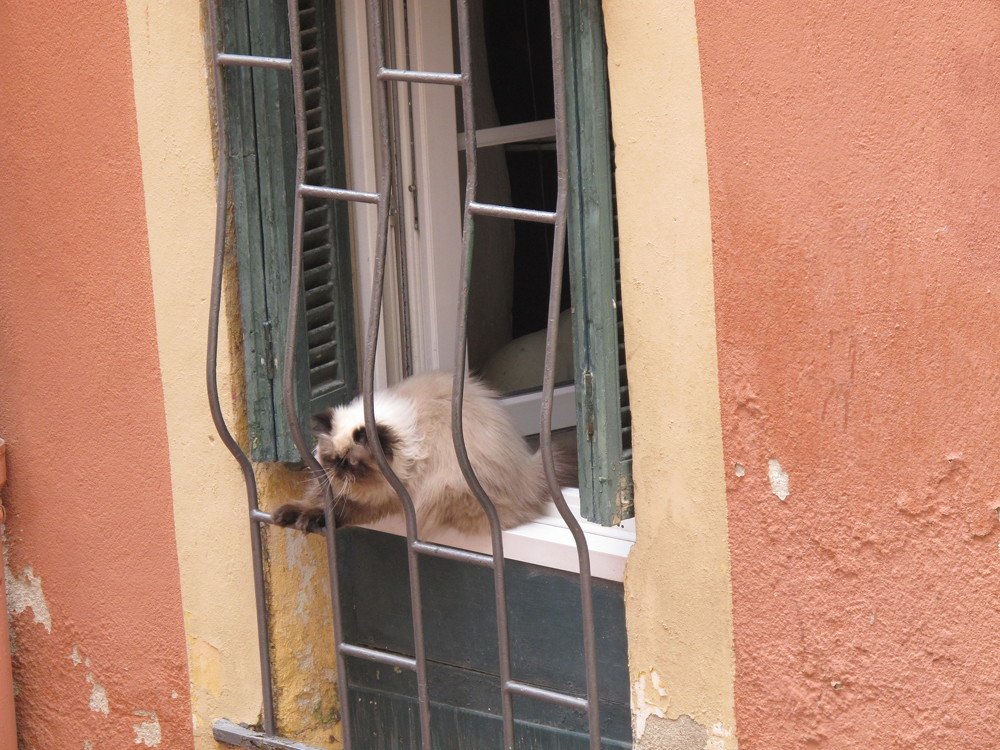 Photograph by Марина Осипова