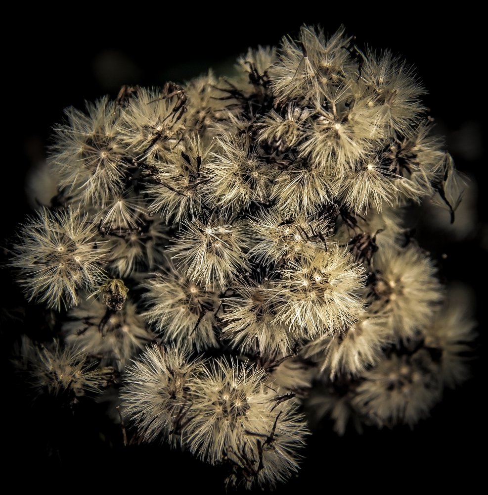 Photograph by Алексей Козлов